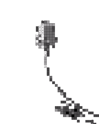 Flower growing animation